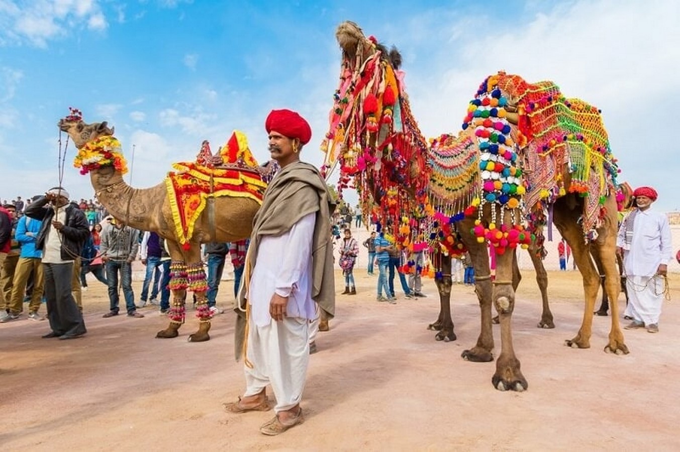The camel trials of the world - Sheet4