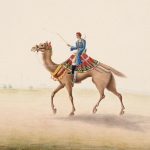 The camel trials of the world - Sheet6