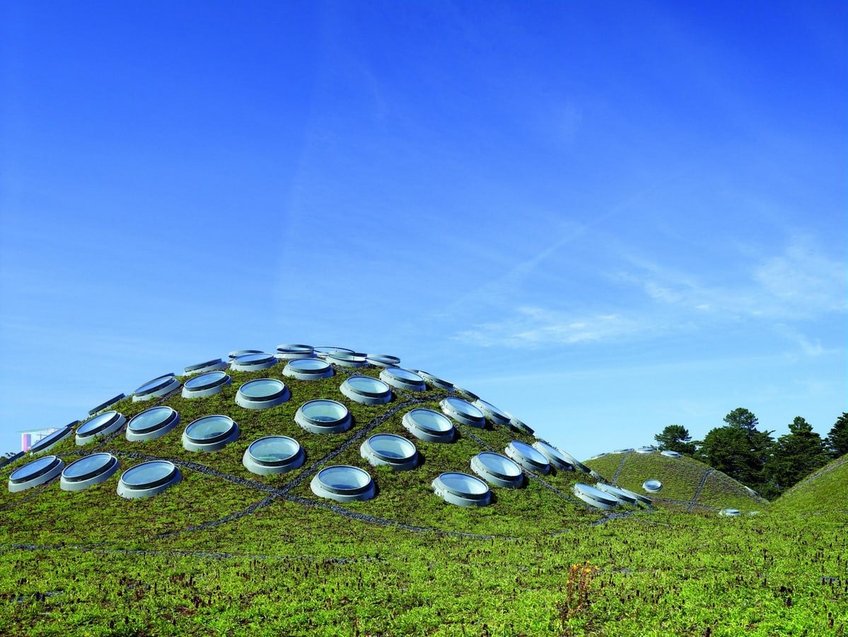 California Academy of Sciences by Renzo Piano Building Workshop + Stantec Architecture - Sheet4