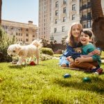 Timeline of Restoration: Fairmont Hotel , San Francisco - Sheet11