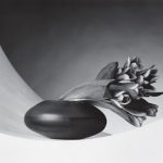 Life of an Artist: Robert Mapplethorpe - Sheet2