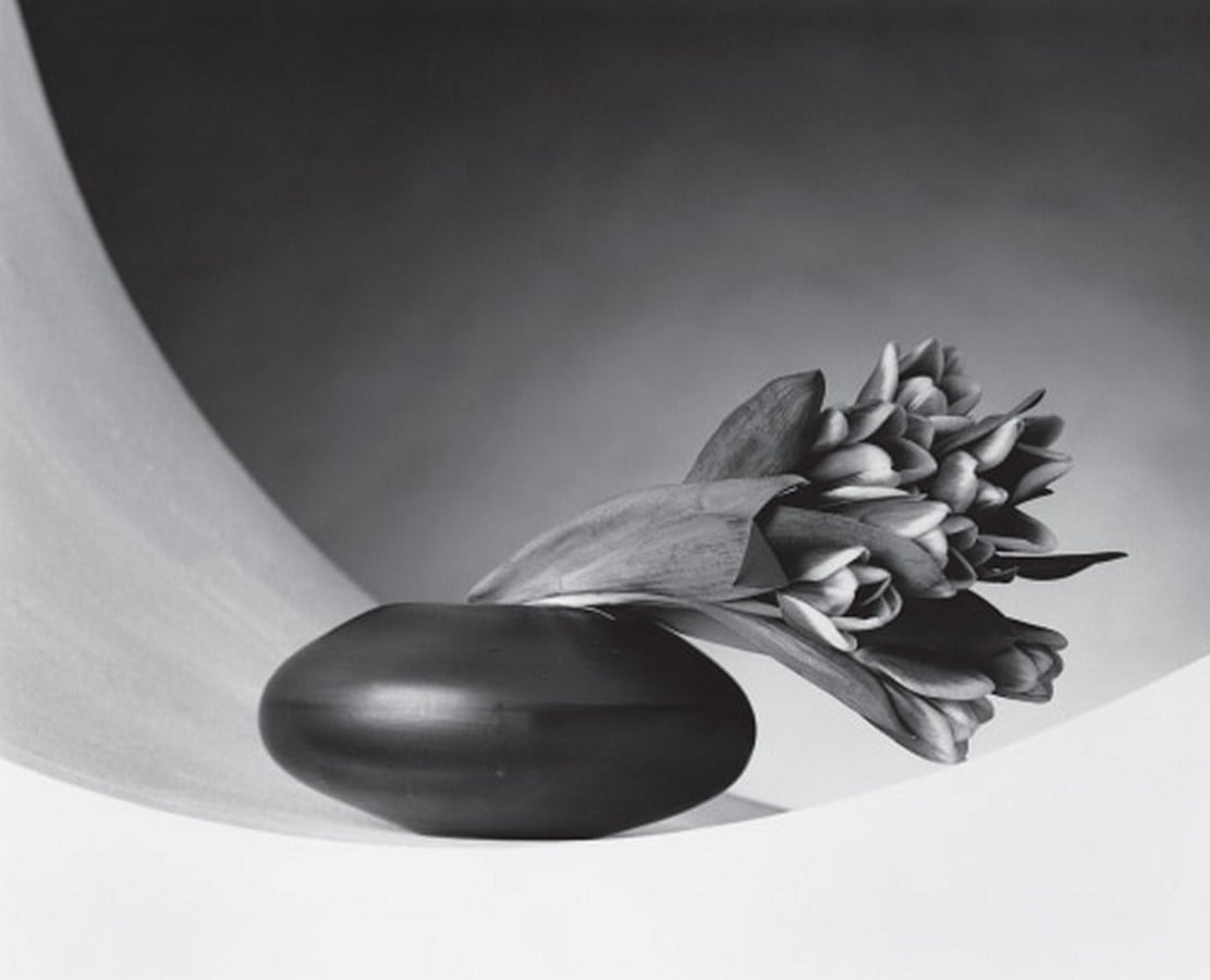 Life of an Artist: Robert Mapplethorpe - Sheet2