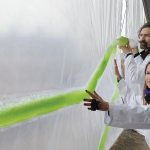 The impact of biomimetic design on the health and well-being of building occupants - Sheet5