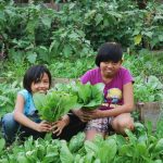Urban Agriculture Application - Sheet1