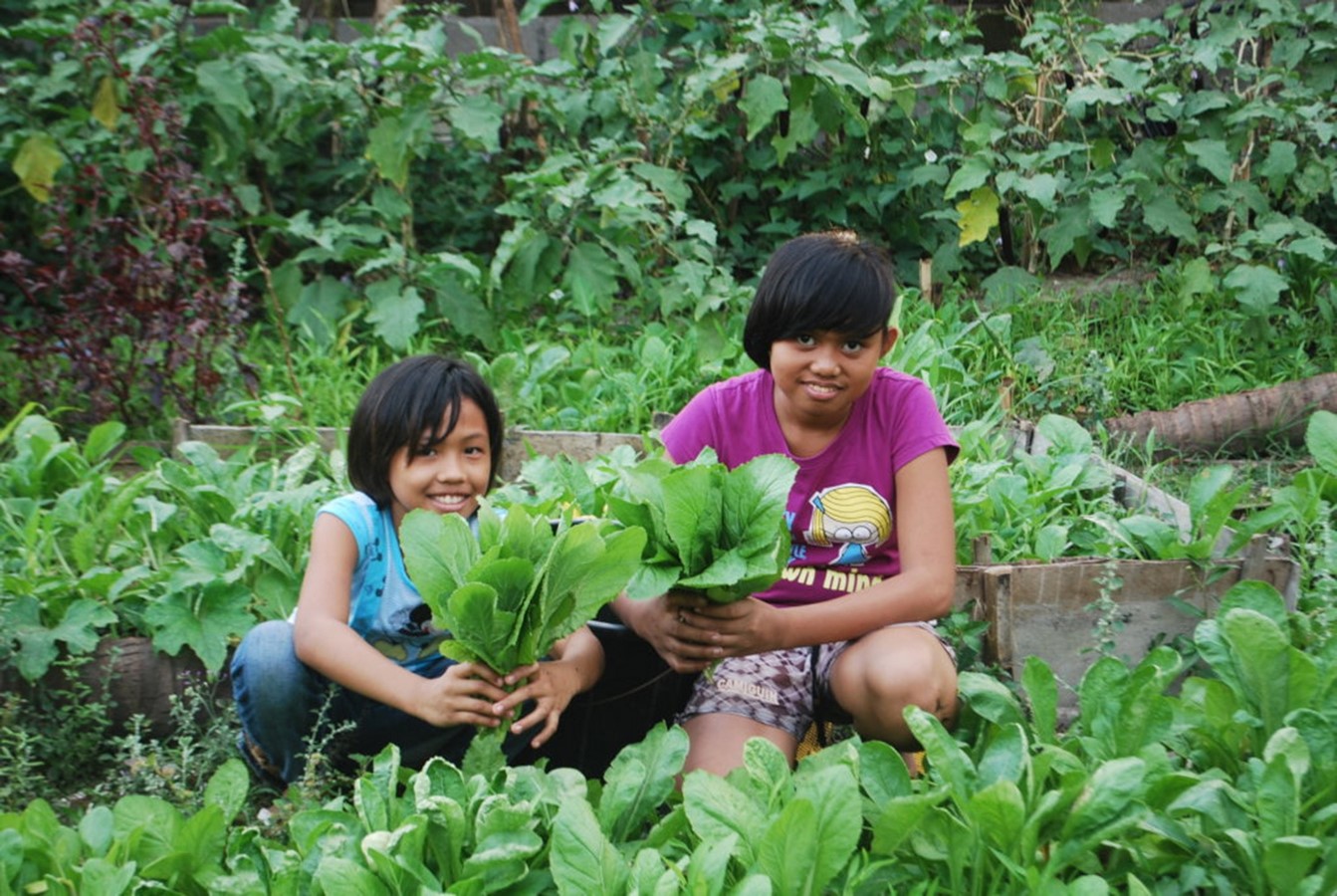 Urban Agriculture Application - Sheet1