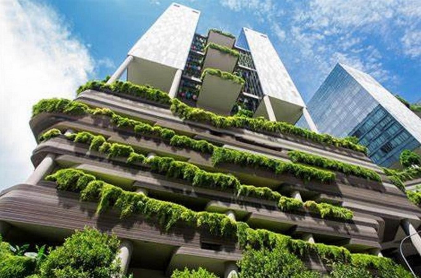 Architectural Design for Economic Sustainability - Sheet7