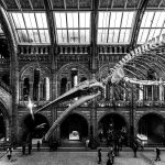 Iconic Museum Buildings Around the World - Sheet8