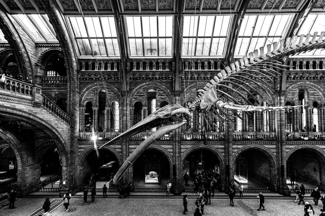 Iconic Museum Buildings Around the World - Sheet8