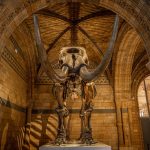 Iconic Museum Buildings Around the World - Sheet9