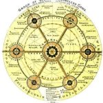 The Dilemma of Evolution - Sheet2
