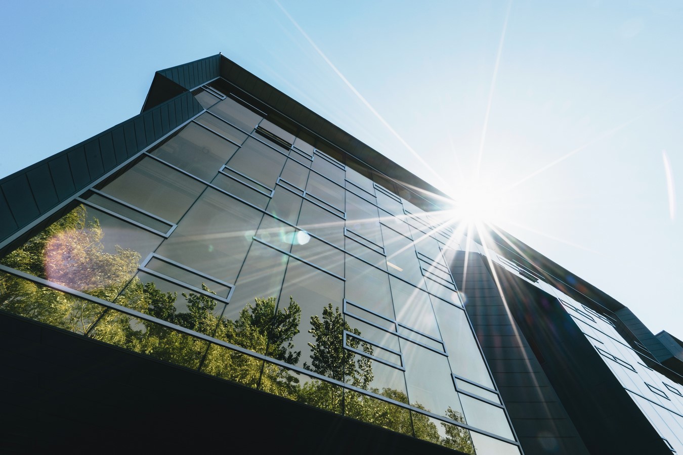 The Transformative Power of Biophilic Architecture - Sheet1