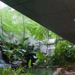 The Transformative Power of Biophilic Architecture - Sheet10