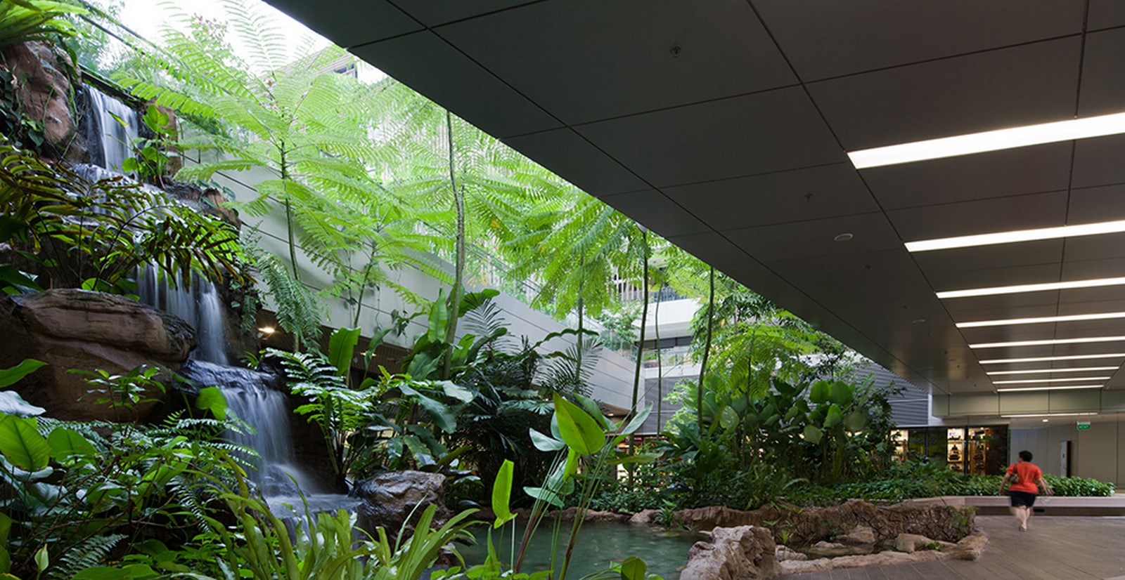The Transformative Power of Biophilic Architecture - Sheet10