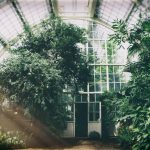 The Transformative Power of Biophilic Architecture - Sheet2
