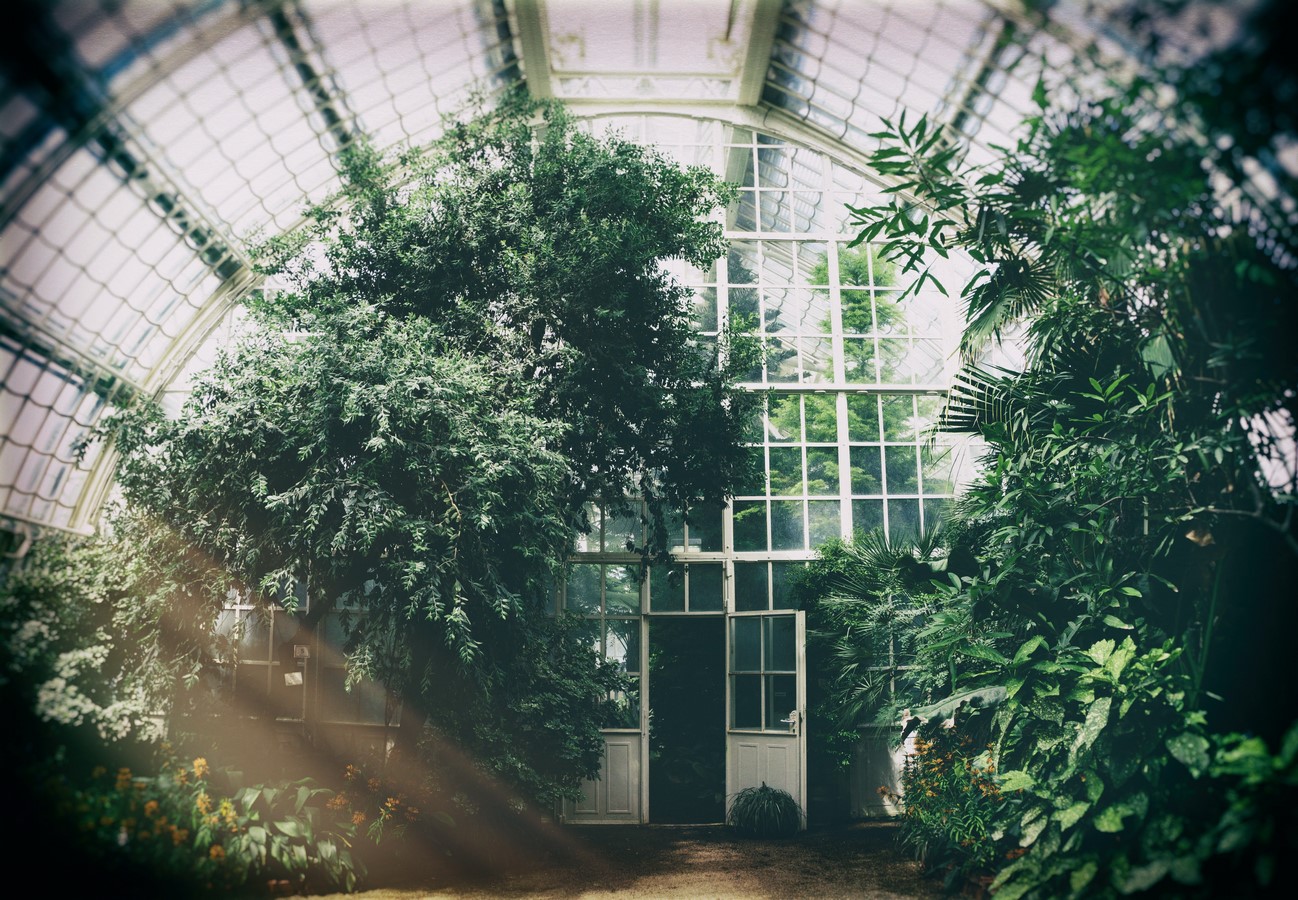 The Transformative Power of Biophilic Architecture - Sheet2