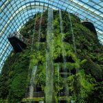 The Transformative Power of Biophilic Architecture - Sheet4