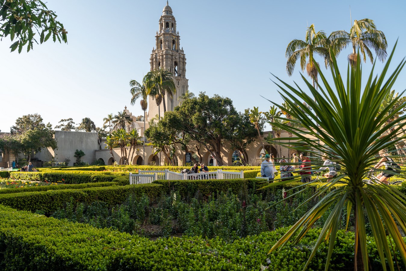 The Transformative Power of Biophilic Architecture - Sheet5