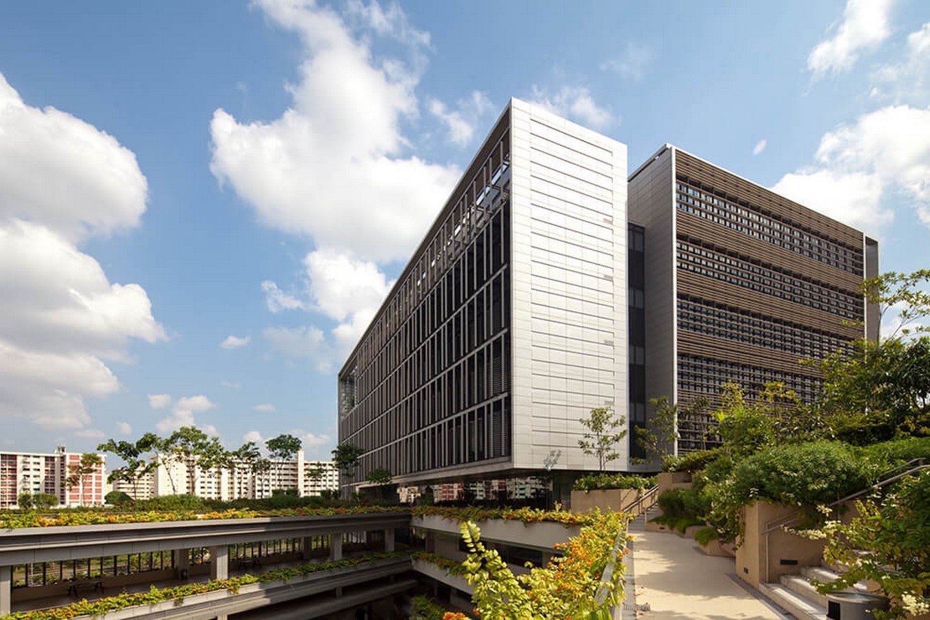 The Transformative Power of Biophilic Architecture - Sheet9