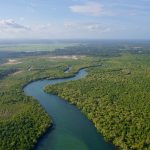 India's Coastal Heritage and the Role of Mangroves - Sheet3