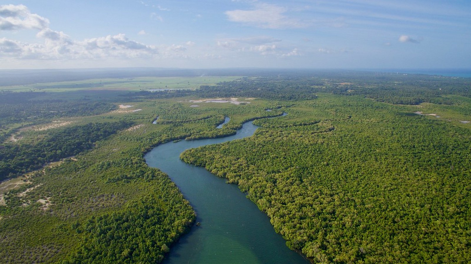 India's Coastal Heritage and the Role of Mangroves - Sheet3