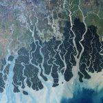 India's Coastal Heritage and the Role of Mangroves - Sheet4