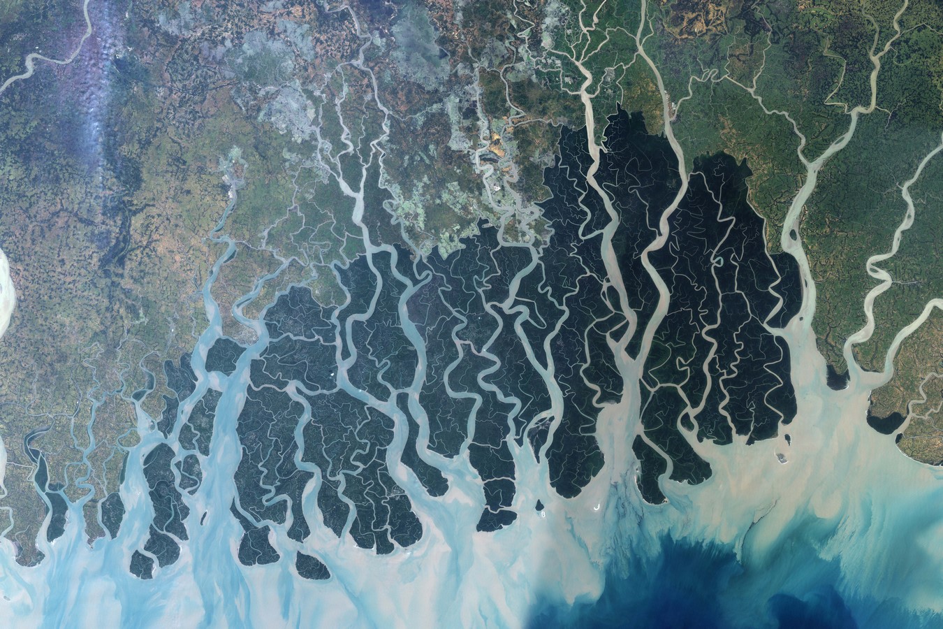 India's Coastal Heritage and the Role of Mangroves - Sheet4