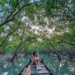 India's Coastal Heritage and the Role of Mangroves - Sheet7