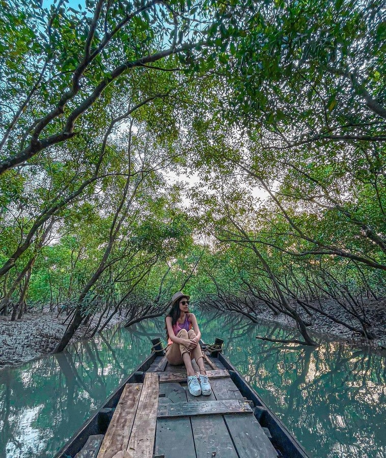 India's Coastal Heritage and the Role of Mangroves - Sheet7