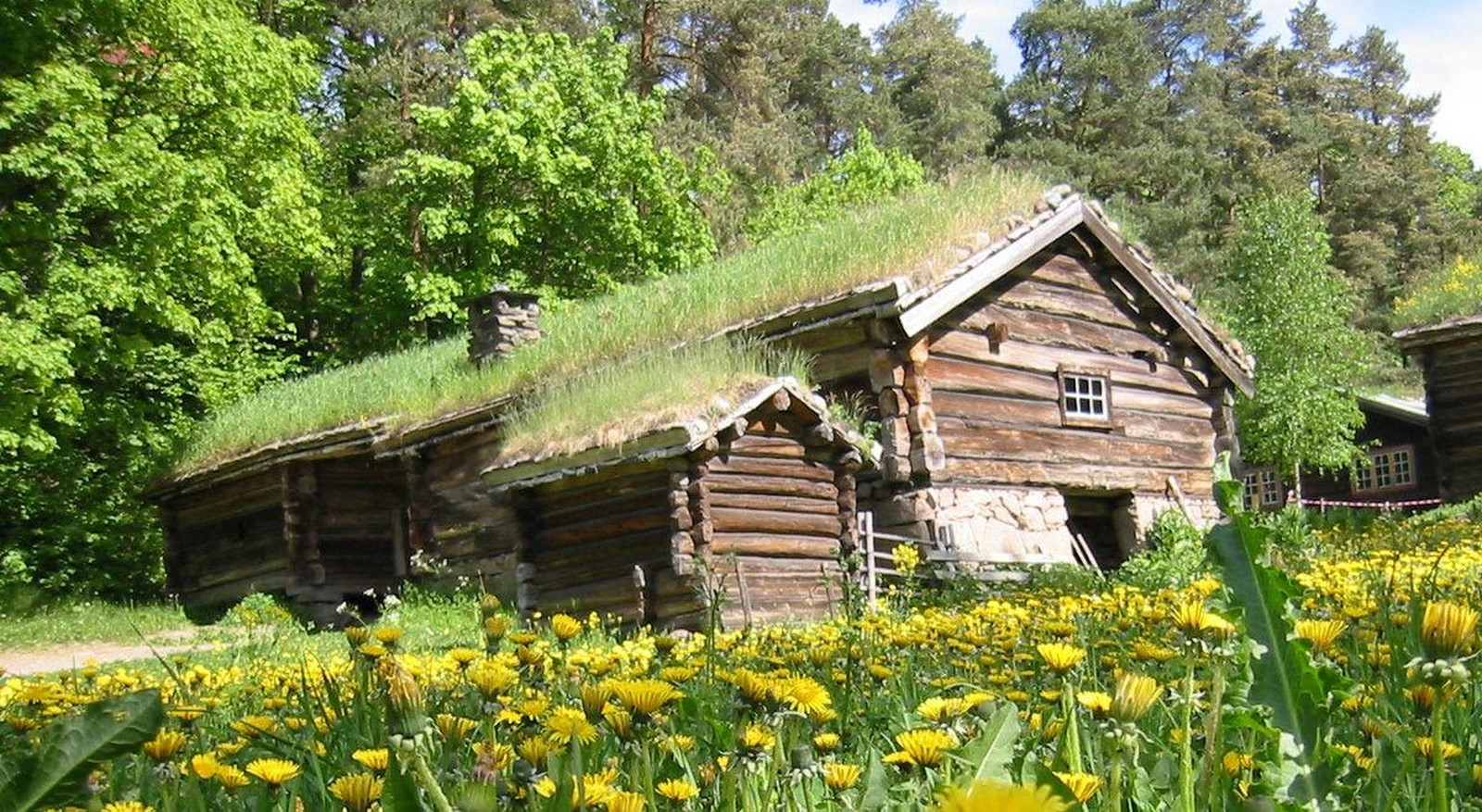 Vernacular designs and climate change - Sheet7