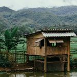 An overview of vernacular architecture - Sheet2