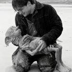 An Overview of Film Archives: Preserving Cinematic Legacy - Sheet7