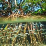 The impact of rising sea levels on coastal architecture and infrastructure - Sheet4