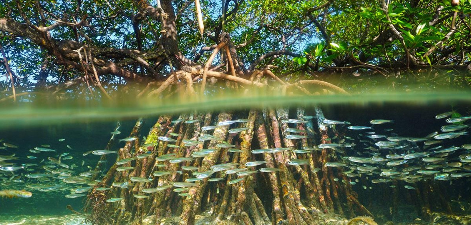 The impact of rising sea levels on coastal architecture and infrastructure - Sheet4