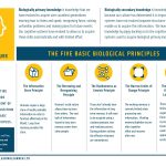 Aspects of Architecture: Tangibles and Intangibles - Sheet2