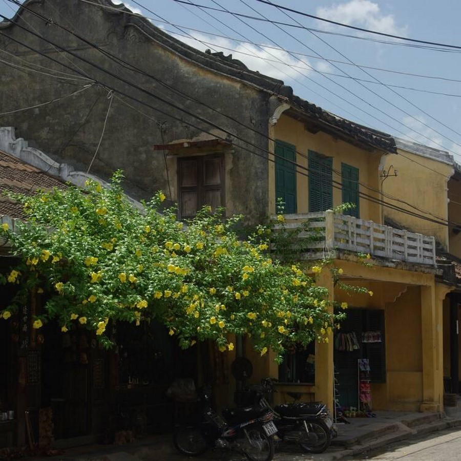 An architectural review of location: Hoi An, Vietnam-Sheet1