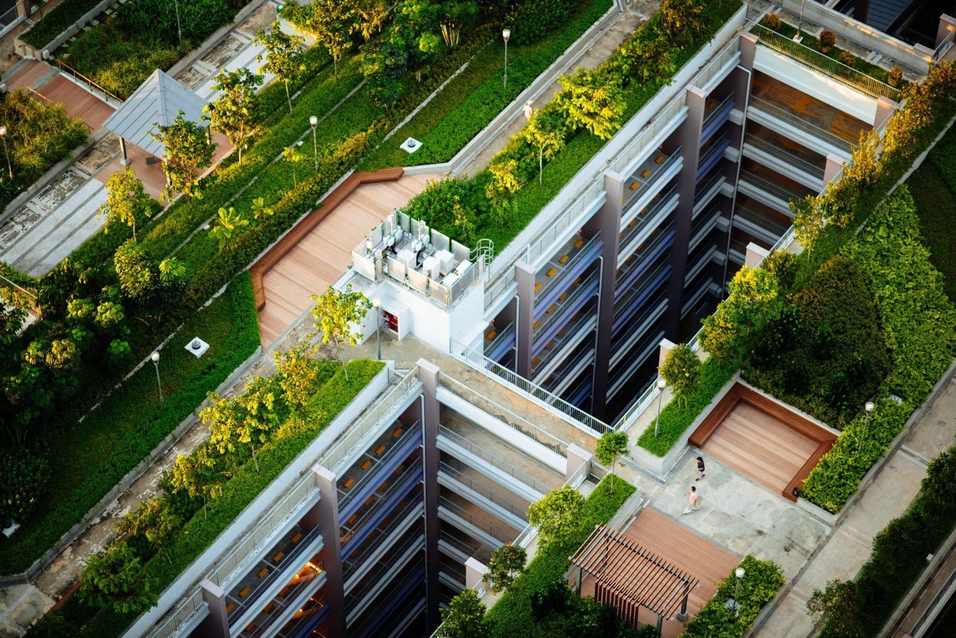 Urban Planning_©https://www.plt.org/educator-tips/urban-green-spaces/
