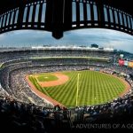 Sports Architecture and Branding - Sheet6