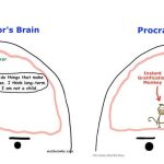 Lessons From Procrastination - My Journey In Architecture So Far - Sheet1