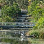 Sydney Park by Turf Design Studio - Sheet3