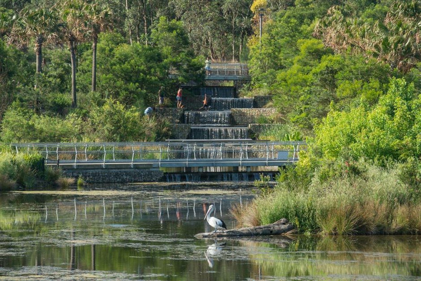 Sydney Park by Turf Design Studio - Sheet3