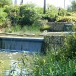 Sydney Park by Turf Design Studio - Sheet4
