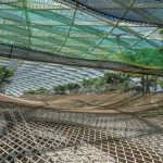 The Inherited Structures of the Future - Sheet3