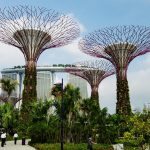 Future of Architecture: The Harmony of the Nature and the Built Environment - Sheet3