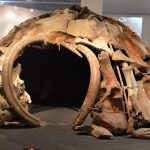 Covid, Architecture and Human Existence - Sheet1