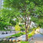 Sustainable architecture: history, challenges, and innovations - Sheet10