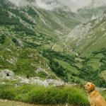 The homeless human: a story of the non-stop nomadic lifestyle - Sheet3
