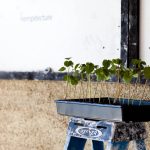 Exploring the Structural Properties of Hempcrete in Building Construction - Sheet1