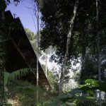 Shelter @ Rainforest by Marra + Yeh Architects - Sheet1