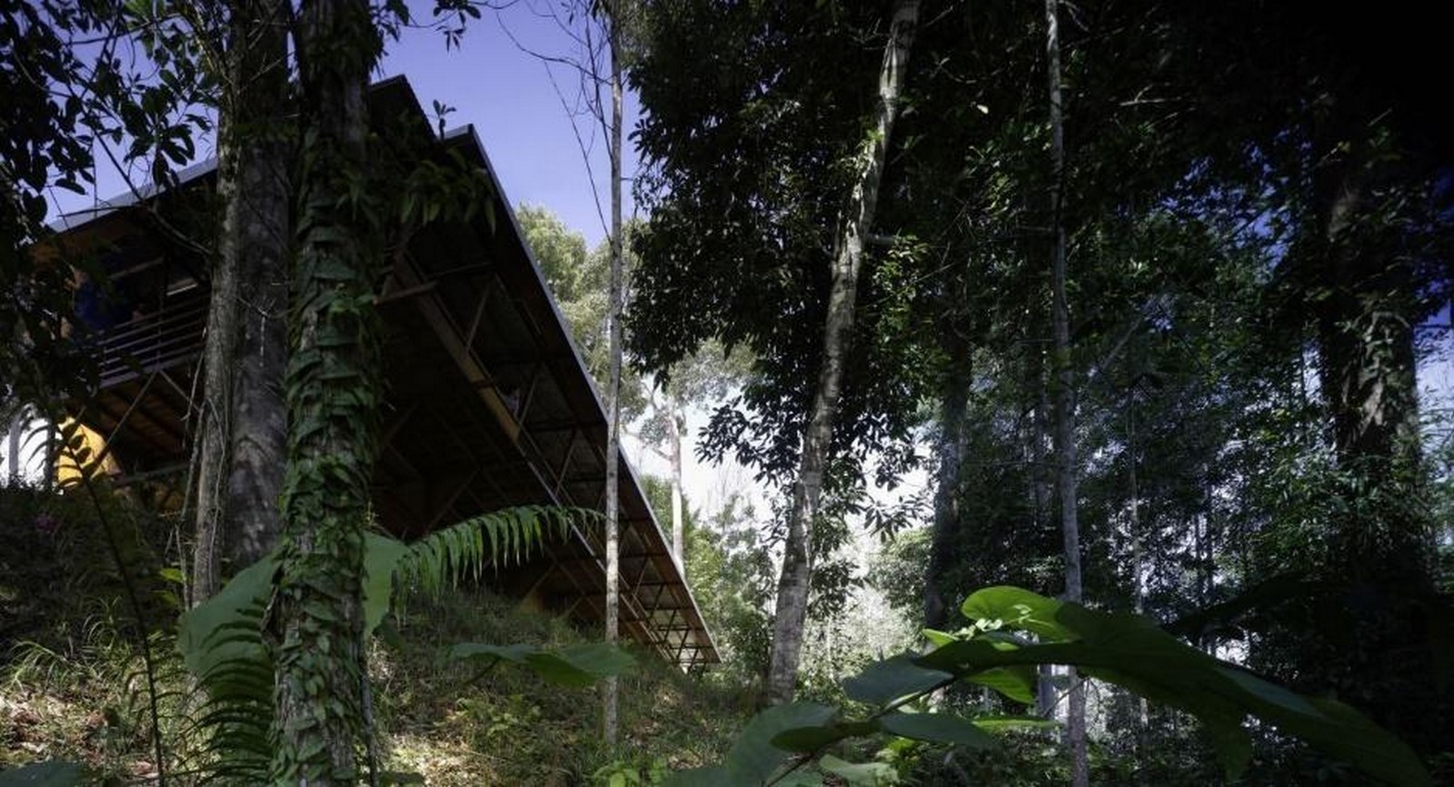 Shelter @ Rainforest by Marra + Yeh Architects - Sheet1
