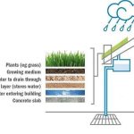 Hemp as a Sustainable Solution for Green Roofing Systems - Sheet2